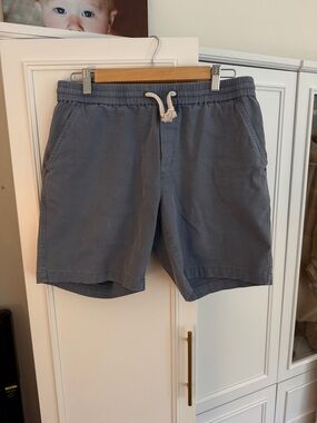 Marine Layer Light Blue Drawstring Shorts